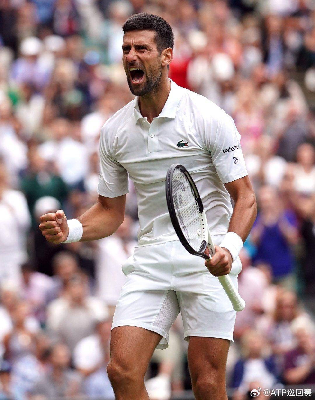 赛冠军再次 赛冠军再次