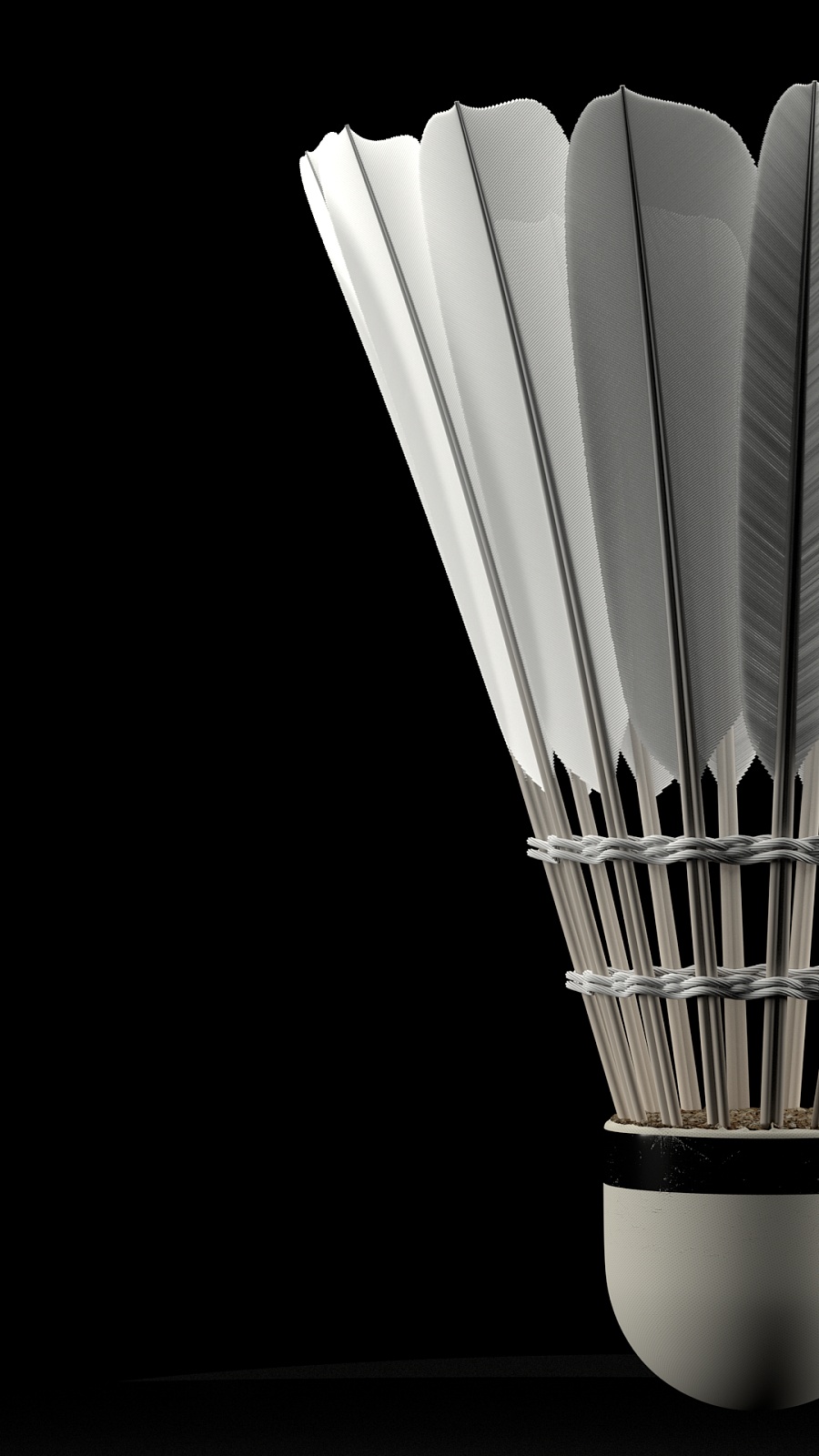 力的进攻组 力的进攻组