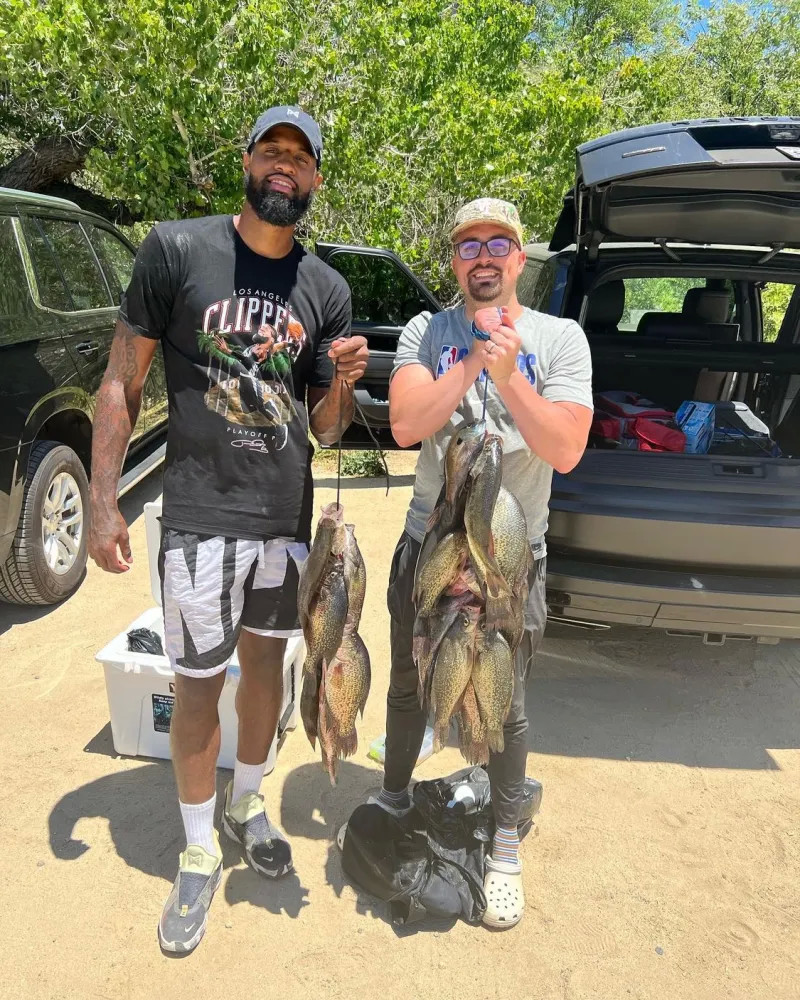 先例似乎预 先例似乎预