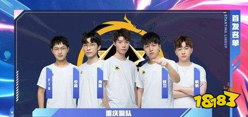 数据分析 数据分析